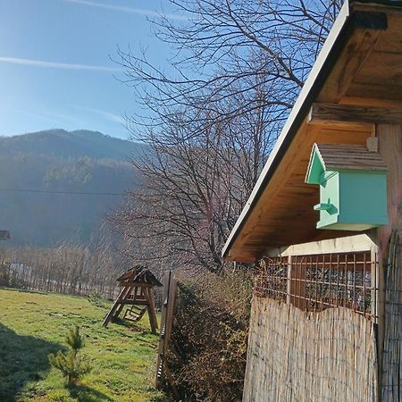Casuta Din Rusca Villa Sebesu de Jos Екстериор снимка