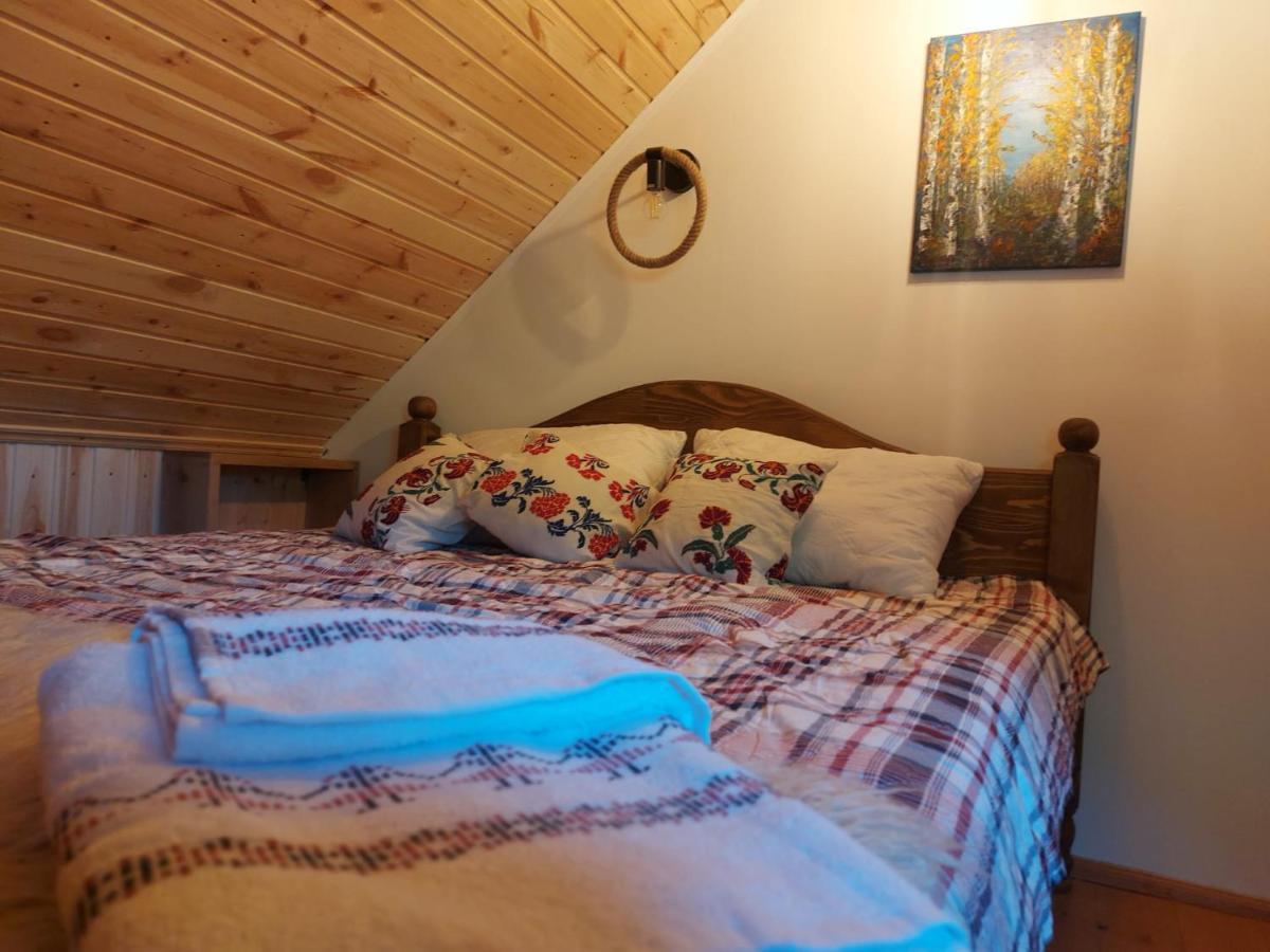 Casuta Din Rusca Villa Sebesu de Jos Екстериор снимка