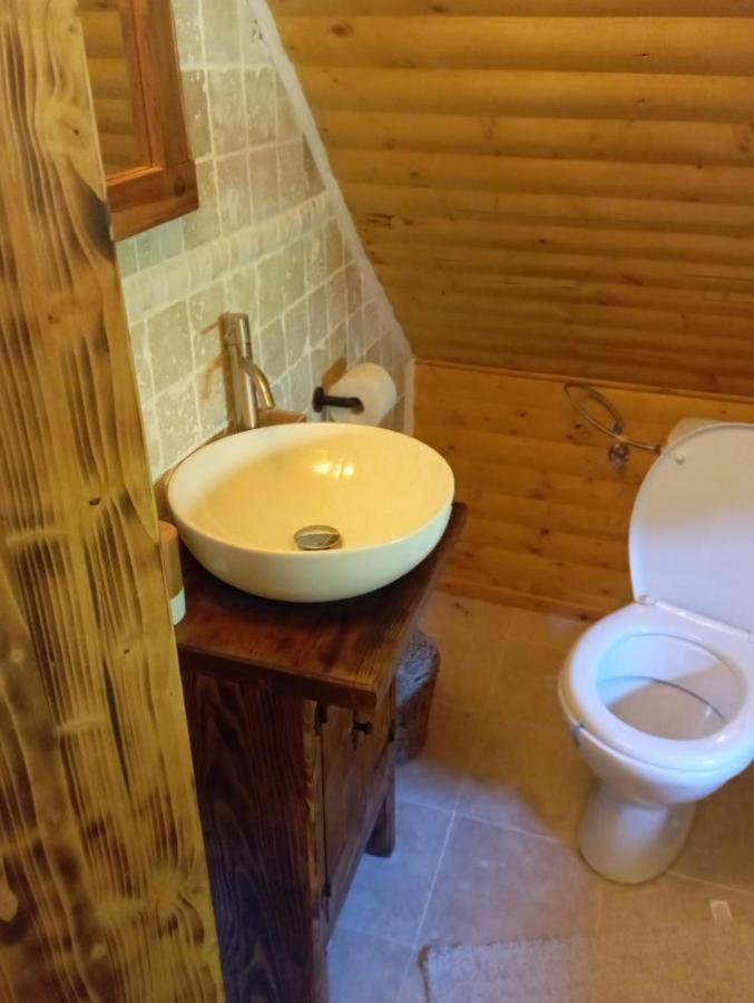 Casuta Din Rusca Villa Sebesu de Jos Екстериор снимка