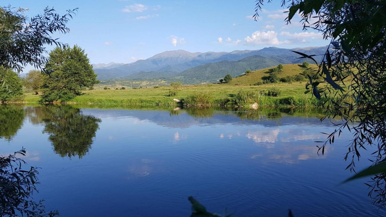 Casuta Din Rusca Villa Sebesu de Jos Екстериор снимка