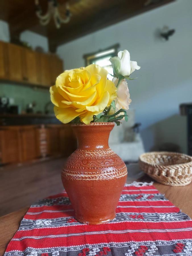 Casuta Din Rusca Villa Sebesu de Jos Екстериор снимка