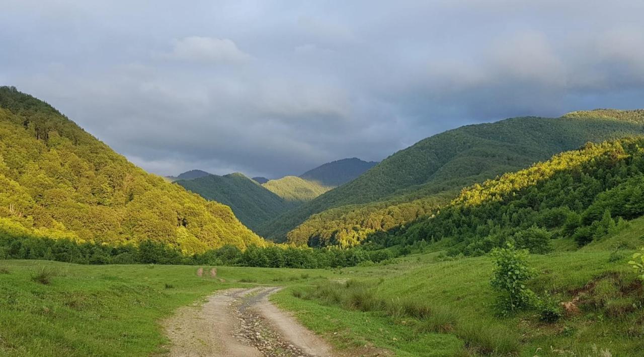 Casuta Din Rusca Villa Sebesu de Jos Екстериор снимка