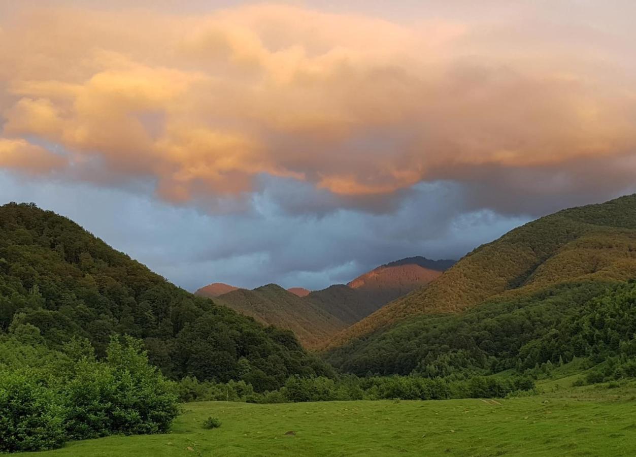 Casuta Din Rusca Villa Sebesu de Jos Екстериор снимка
