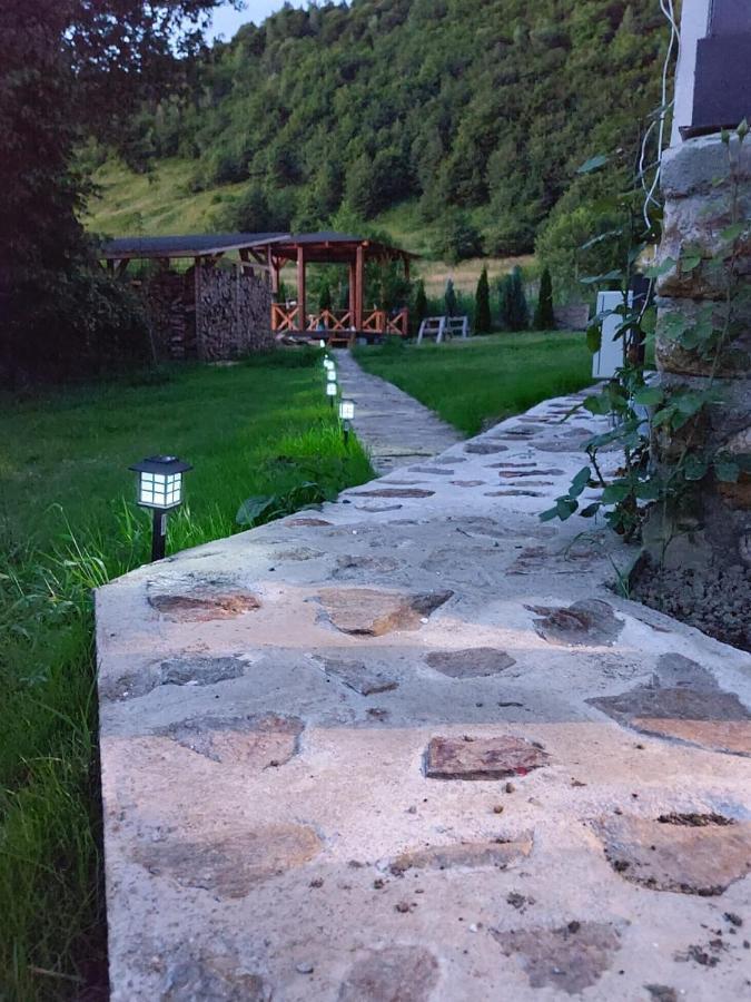 Casuta Din Rusca Villa Sebesu de Jos Екстериор снимка